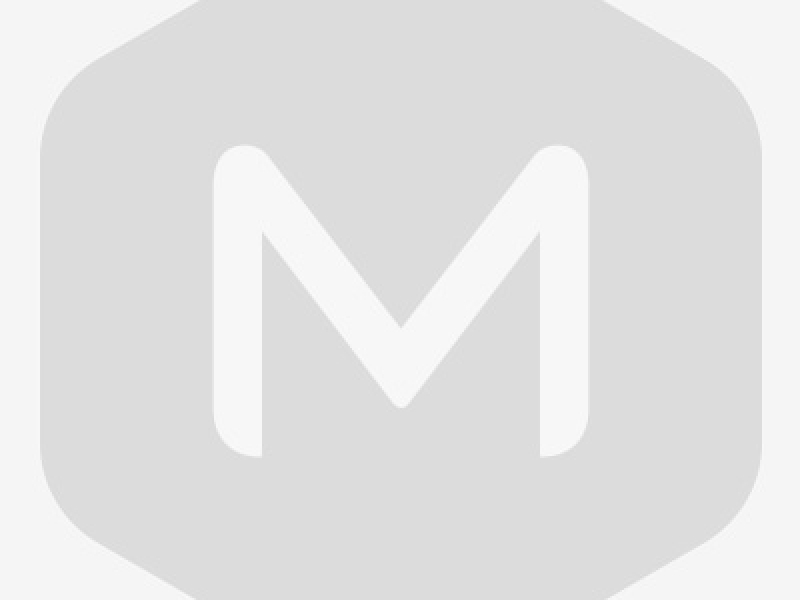 Date of establishment